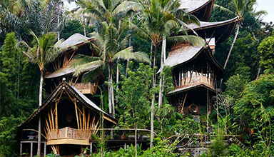 印尼巴厘岛：“竹泪”树屋 竹建筑