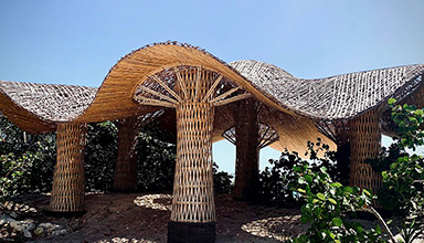 墨西哥：沙滩蘑菇特色竹建筑 竹编景观
