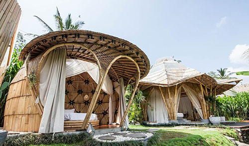用竹子打造出“别具一格 珠宫贝阙”的特色竹屋建筑