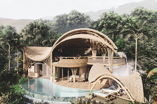 如果您有宅基地,您愿意建造一个用绿色竹子打造的高端特色竹别墅吗？