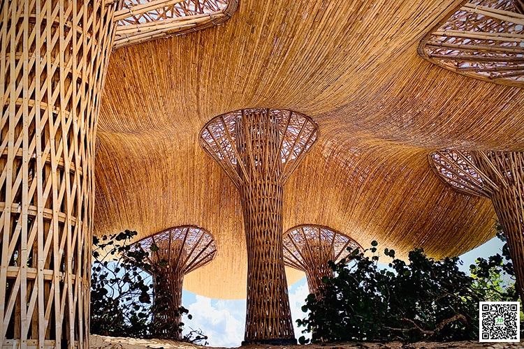 墨西哥：沙滩蘑菇特色竹建筑 竹编景观案例分享 确实赏心悦目