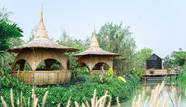 新潮流的竹建筑，你了解吗? 竹编 竹景观 竹装置 竹结构