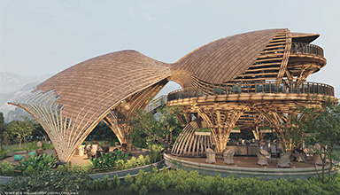 什么是可持续再生的有机建筑材料？（设计+建造）境道原竹