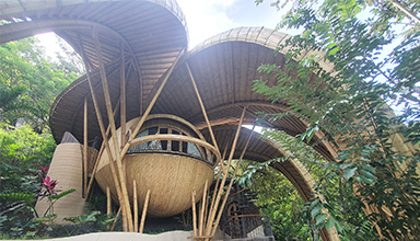 越南竹建筑与印尼竹建筑的区别是什么？ 竹结构 竹屋 竹房子