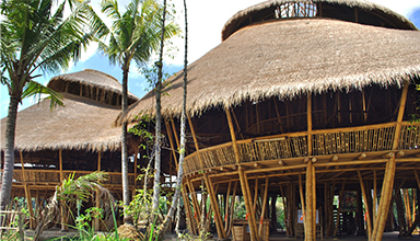 竹建筑的奇妙设计，展现大自然的魅力与创意