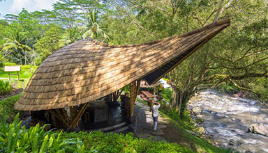 别具特色的异形竹建筑，打造私人独特空间 网红竹屋 生态竹楼