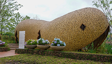 探索仿生原竹建筑：自然灵感与现代科技的完美融合 境道原竹